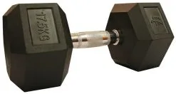 HEX Dumbbell -Training gear shop 172C5kg65