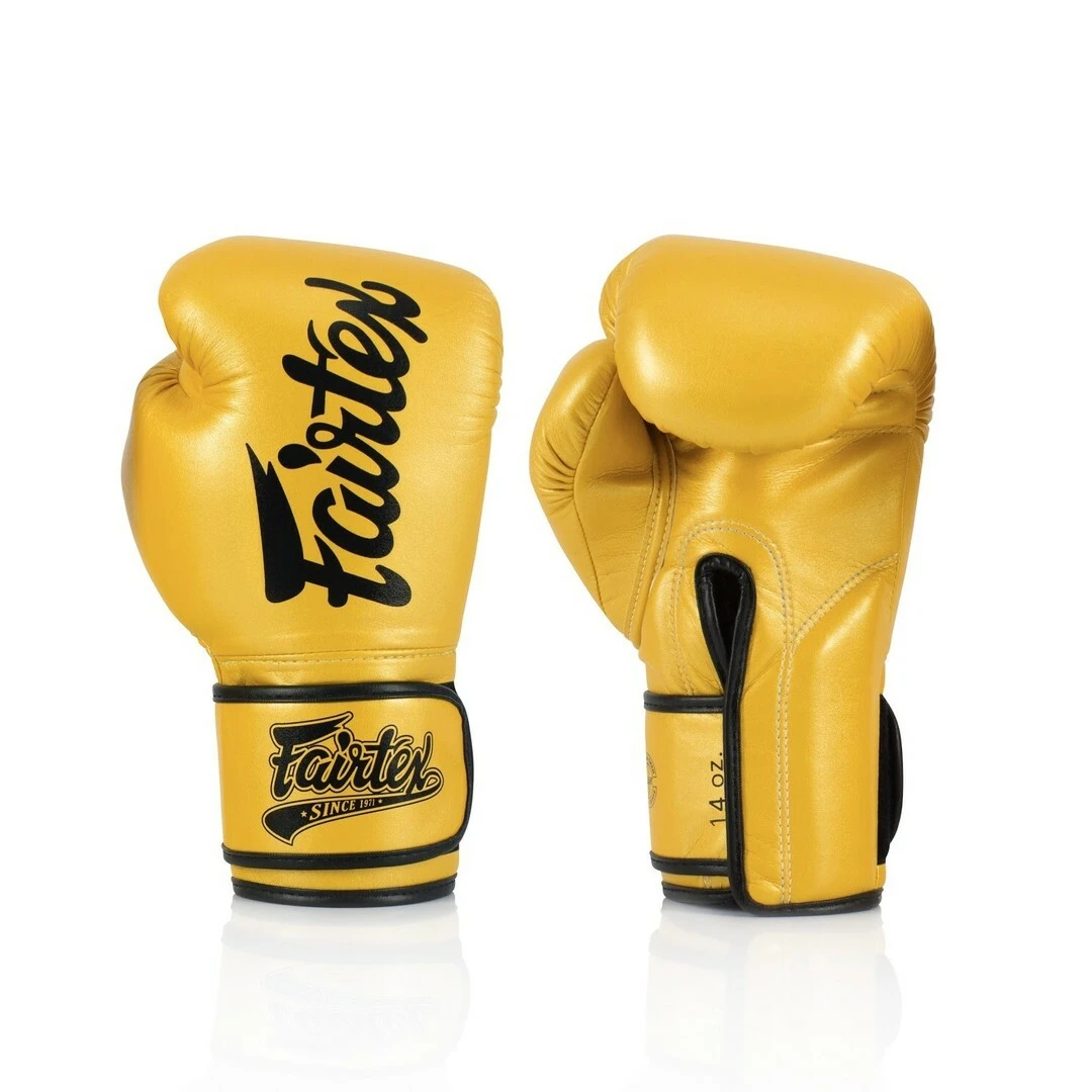 Fairtex BGV18 Muay Thai / Kickboxing Gloves 3 Fairtex BGV18 Muay Thai / Kickboxing Gloves - Image 2