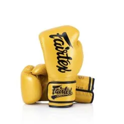 Fairtex BGV18 Muay Thai / Kickboxing Gloves