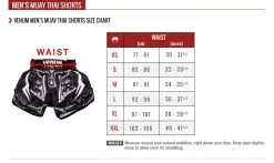 Venum Absolute 2.0 Muay Thai Shorts -Training gear shop EN 2 muaythai shorts7244 1