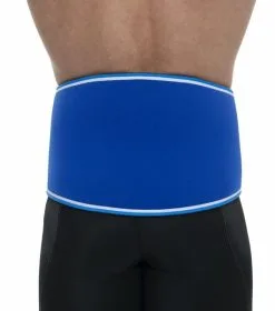 Rehband Blue Line Back Support 7082